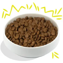 Edgard & Cooper Adult Knackige Karotten & Zucchini 2,5 kg