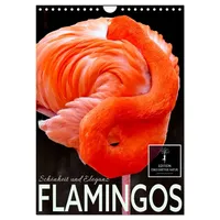 Calvendo Flamingos - Eleganz und Schönheit (Wandkalender 2026 DIN