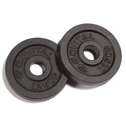 Govital Guss-Scheiben, 2x1,25kg Schwarz Modell Aktion