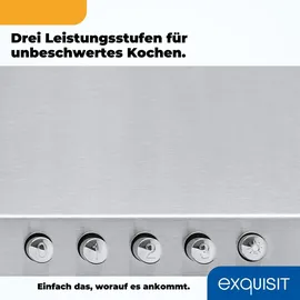 GGV Exquisit KH 60-8 Wandhaube 60 cm inox