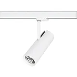 Brumberg Leuchten LED-Schienenstrahler 930, weiß 88393173
