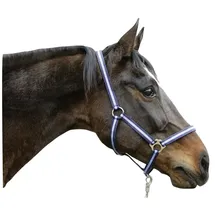 Kerbl Nylonhalfter Hippo Größe 3 (Warmblut) marine/hellblau