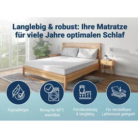 Betten-ABC KSP-1500 Deluxe 160 x 200 cm H2