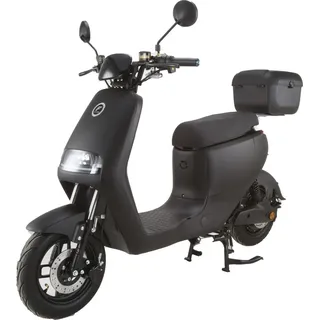 Elektroroller "Merlin", 25/45 km/h, Bosch-Motor, LED, 90 Kilometer RW, herausnehmbarer Lithium-Akku - Schwarz