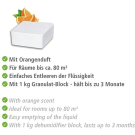 Wenko Nachfüller Raumentfeuchter Cube 1000 g Nachfüllpack, reduziert Schimmel & Gerüche, 1 kg Granulatblock