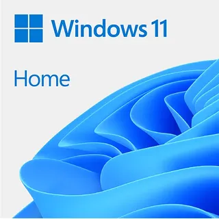 Microsoft Windows 11 Home ESD DE