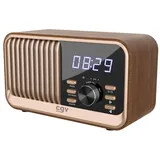 CGV Bebop FM braun