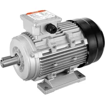 Vevor 2,2 kW Elektromotor 2890 U/min 90 l B3-Rahmen 3-phasig 24 mm Keilwelle