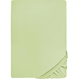 biberna 0077144 Feinjersey 140 x 200 - 160 x 200 cm pistaziengrün