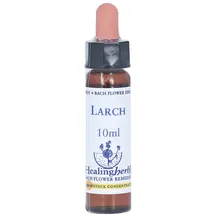 Bach Equipment BACHBLUETEN Larch Healing Herbs