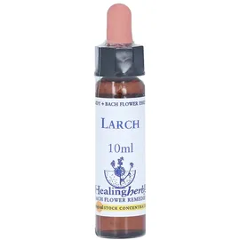 Bach Equipment BACHBLUETEN Larch Healing Herbs