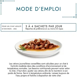 Purina Gourmet Perle Еrlesene Streifen mit Huhn, Rind, Lachs & Kaninchen 60 x 85 g