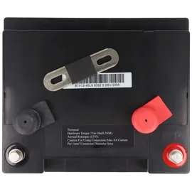 Wing BTX12-45LS 12V 47Ah high rate hochstromfähig Bleiakku AGM Blei Gel Akku