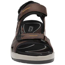 ECCO Offroad Herren espresso/cocoa 43