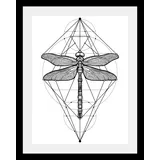 Queence Bild »Libelle«, in 3 Größen, gerahmt, 99578908-0 schwarz B/H/T: 50 cm x 70 cm x 3 cm,