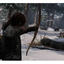 The Last of US Remastered