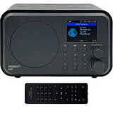 Ferguson Regent i101 schwarz