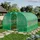 TOOLPORT Foliengewächshaus PE-Plane Grün transparent 180 g/m2 12 m2