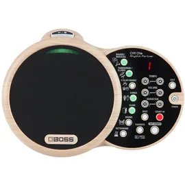 Boss DR-01S Rhythm Partner für akustische Musiker – Begleiter für akustische Gitarre und Vocals