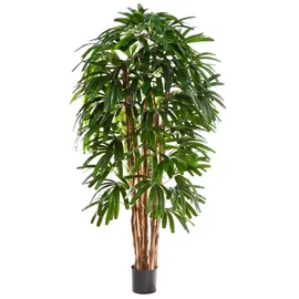 aplanta Künstliche Steckenpalme - Nicole | 180 cm