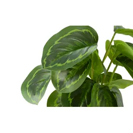 Möbel Kraft Maranta getopft ¦ grün ¦ Kunststoff ¦ Maße (cm): H: 45