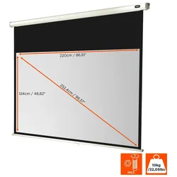celexon Leinwand Rollo Economy 220 x 124 cm