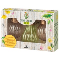 Moses Blatt & Blüte Solar-Lichter 3er Set