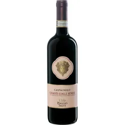 Villa Poggio Salvi 'Caspagnolo' Chianti Colli Senesi DOCG (2023), Villa Poggio Salvi