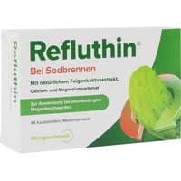 Dr. Willmar Schwabe Refluthin bei Sodbrennen Kautabletten Minze