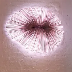 Coral, 16 Farben