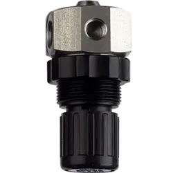 Riegler Edelstahl-Druckregler 1.4571, flüssige Medien, G 1/4, 0,2 - 6 bar