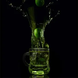 Gravidus Schnapsglas 0,02 l 12 St.