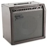 Fame AE-30 Akustikgitarren Verstärker Combo, 30 Watt, 2-Kanäle, Integrierter Reverb, Effektprozessor, Mikrofon-Eingang, Aux-Eingang, Externer Lautsprecher, Recording-Ausgang, Ideal für