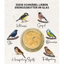 dehner natura premium Wildvogelfutter Erdnussbutter im Glas, Rosine, 8 x 340 g