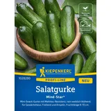 Kiepenkerl Saatgut Snackgurke Miné-Star