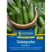 Kiepenkerl Saatgut Snackgurke Miné-Star