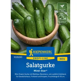 Kiepenkerl Saatgut Snackgurke Miné-Star