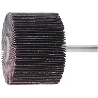 Lukas-Erzett Fächerschleifer SFL universal 30x15mm mm , 80