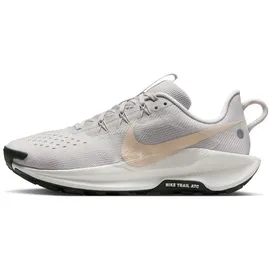 Nike Pegasus Trail 5 Damen Grau / Silber 40