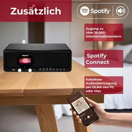 Ferguson Regent i351s Internet Digital (SCHWARZ) - Schwarz