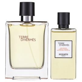 Hermès Terre d'Hermes Eau de Toilette 100 ml + Shower Gel 80 ml Geschenkset