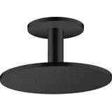 Hansgrohe Kopfbrause 300 2jet (35304670)