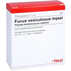 Fucus vesiculosus-Injeel