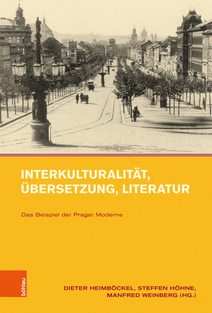 Interkulturalität  Übersetzung  Literatur  Gebunden
