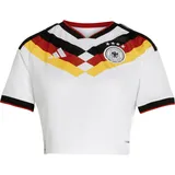 Gr. XL