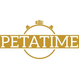 GUESS Gc Coussin Sleek Lady Uhr Silver One Size