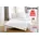 Kopfkissen B/L 135cm x 200cm Anzahl Teile 1 B/L 40cm x 80cm Anzahl Teile 1 Bezug Baumwolle Bezug 100 Baumwolle Kopfkissen Bezug 100 Baumwolle