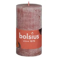 Bolsius Rustik Stumpenkerze 10 x 5 cm wildleder braun