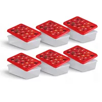 Pro Home Frischhaltedose rot 1,25 l 6-teiliges Set