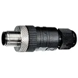 Waldmann Anschlussstecker 00808081